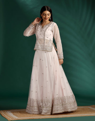 Blush-Pink-Aari-Thread-Work-Lehenga-With-A-Long-Choli-Set