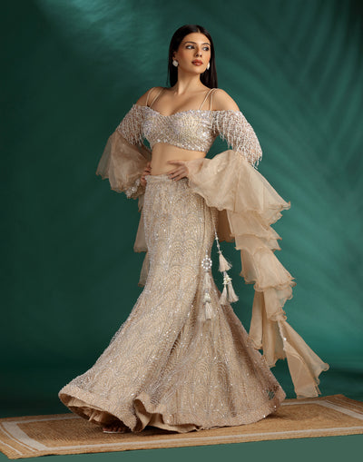 Champagne Glint Embellished Fish-Cut Lehenga Set