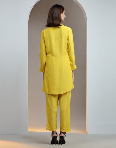 Golden Yellow Embellished Shirt And Pant Set