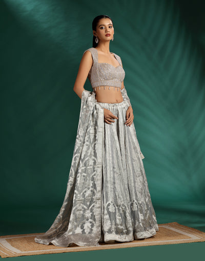 Moon-Dust-Glow-Embellished-Lehenga-Set