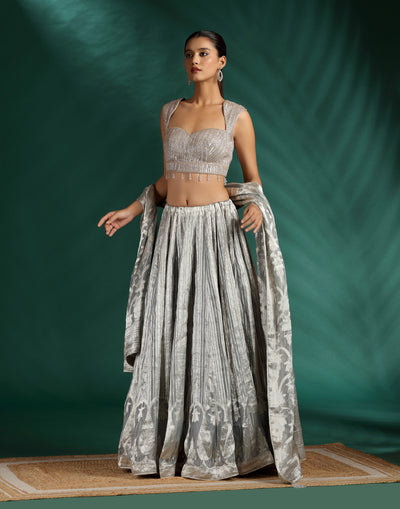 Moon-Dust-Glow-Embellished-Lehenga-Set