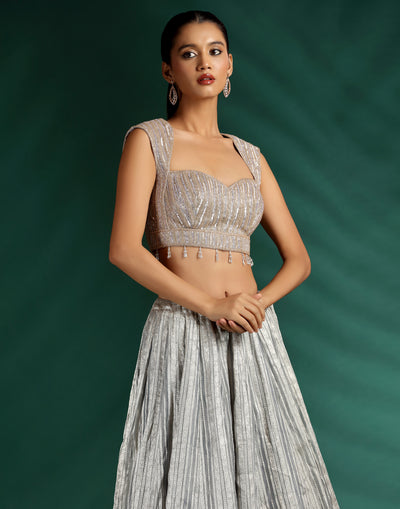 Moon-Dust-Glow-Embellished-Lehenga-Set