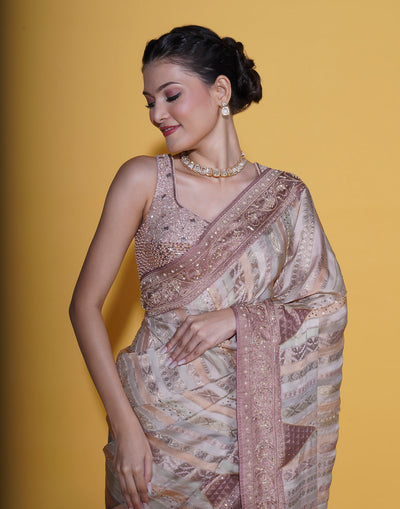 Pastel Mellows Embellished Silk Saree