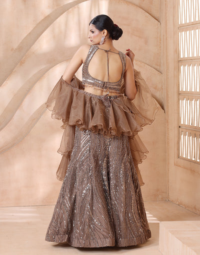 Sparkling Champagne Embellished Fitted Lehenga Set